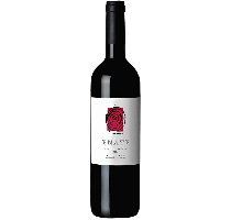 Vino del Somontano Enate Merlot Merlot  Magnum (Caja de 6 botellas)