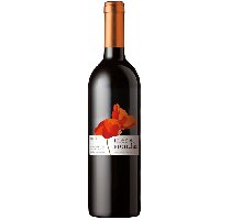 Vino del Somontano Ins de Monclus Reserva (Caja de 6 botellas)