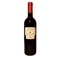 Vino del Somontano Castillo de Monesma Reserva (Caja de 6 botellas)