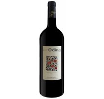 Vino del Somontano Monde Odina Cabernet Magnum  (Venta por unidad)