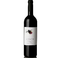 Vino del Somontano Enate  Syrah-Shiraz  (Caja de 6 botellas)