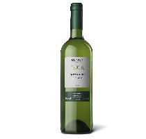 Vino del Somontano OSCA Garnacha Blanca (Caja de 6 botellas)