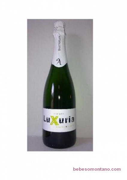 estrategia Pionero Desempacando Vino del Somontano Alodia Espumoso Blanco Luxuria (Caja de 6 botellas) -  Bebe Somontano vinos del somontano