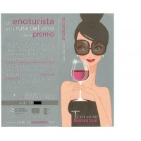 CAMPAA SER ENOTURISTA EN LA RUTA DEL VINO TIENE PREMIO