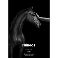BACCHUS DE ORO PARA PIRINEOS TINTO