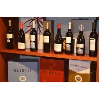 La D.O. Somontano espera volver a crecer en ventas tras el aumento de la cosecha