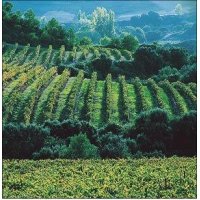 La  Ruta del Vino del Somontano