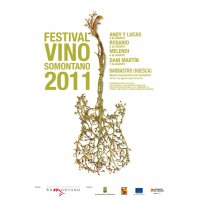 FESTIVAL DEL VINO SOMONTANO 2011